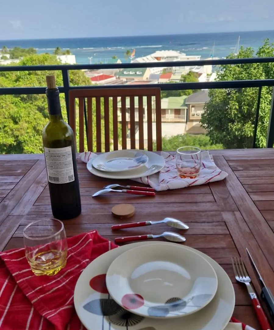 Vue Mer Panoramique, Confort Premium, Plage A 10 Min, A L'Oasis De Karukera Sainte-Anne  Gwadelupa